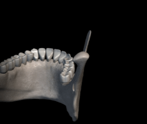 <p>Fig #1.1</p><p class="has-focus">Origin</p><p class="has-focus">Passes through</p>