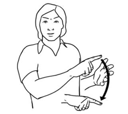 term image