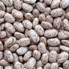 <p>Beans, Dried Pinto</p>