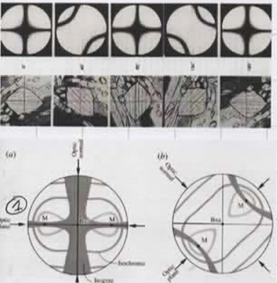 <p>Le <strong>figure d’interferenza biassiche</strong> si osservano in:</p><ul><li><p><strong>luce convergente</strong></p></li><li><p><strong>polarizzatori incrociati</strong></p></li><li><p><strong>condensatore alzato</strong></p></li><li><p><strong>diaframma aperto</strong></p></li><li><p><strong>obiettivo ad alto ingrandimento</strong></p></li><li><p>osservazione nel <strong>piano focale posteriore</strong></p></li></ul><p>Elementi principali</p><ul><li><p><strong>Due melatopi</strong> → direzioni degli assi ottici</p></li><li><p><strong>Isogire</strong> → bande nere curve</p></li><li><p><strong>Isochromi</strong> → colori di interferenza</p></li></ul><p>Comportamento ruotando il tavolino</p><ul><li><p>Le isogire:</p><ul><li><p><strong>si separano</strong></p></li><li><p><strong>si muovono</strong> con la rotazione</p></li></ul></li><li><p>Questo è il <strong>criterio diagnostico fondamentale</strong> dei biassici</p></li></ul><ul><li><p>Questo indica la presenza di <strong>un solo asse ottico</strong></p></li></ul><p>Angolo ottico <strong>2V</strong> </p><ul><li><p>Angolo tra i due assi ottici</p></li><li><p>Si stima dalla <strong>distanza tra i melatopi</strong></p></li><li><p>Può essere:</p><ul><li><p>piccolo (assi quasi paralleli)</p></li><li><p>grande (assi molto separati)</p></li></ul></li></ul><p>Determinazione del segno ottico: Posizione migliore per l determinazione del segno ottico dei minerali biassici. Una volta posizionata correttamente l'isogira si inserisce il compensatore e si osserva il cambiamento di colore nella parte concava e convessa dell'isogira.</p>