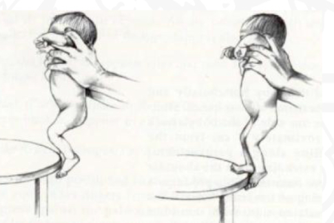 <p>Starting position</p>