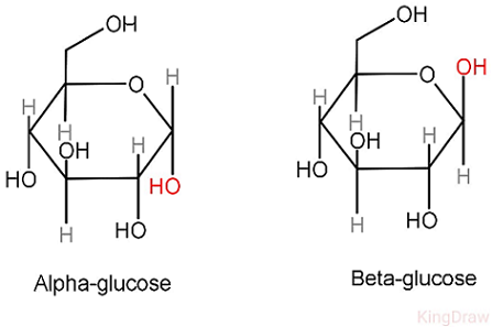 <ol><li><p>Alpha glucose: hydroxyl group below</p></li></ol><ul><li><p>Makes up glycogen, starch</p></li></ul><ol><li><p>Beta glucose: hydroxyl group above&nbsp;</p></li></ol><ul><li><p>Makes up cellulose</p></li></ul><p></p>