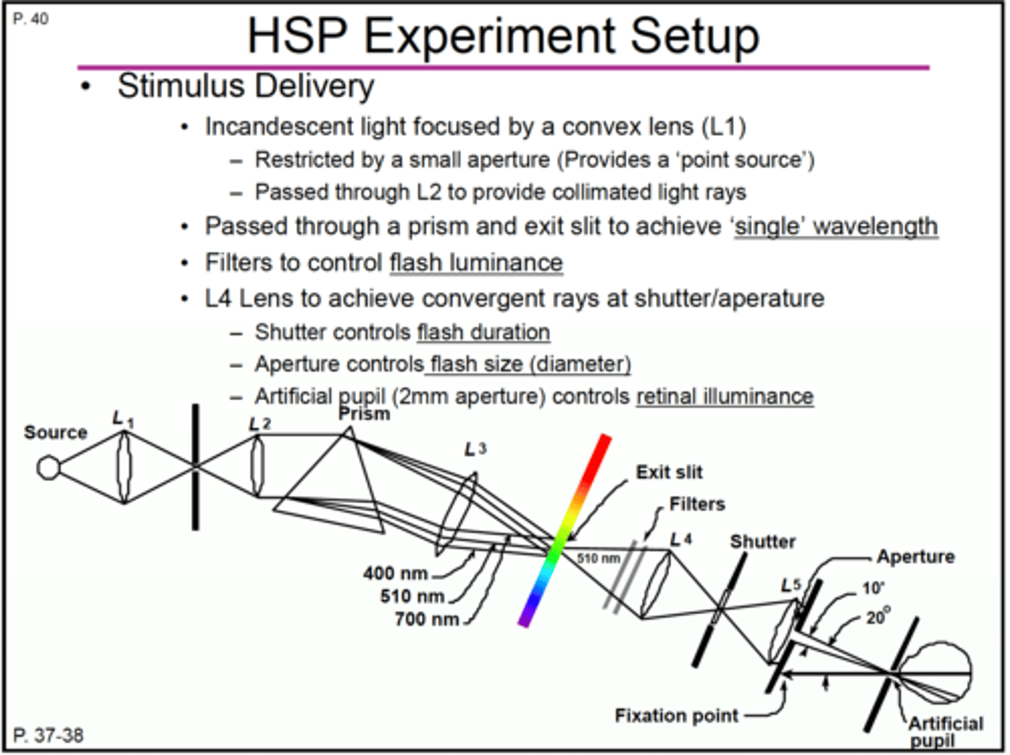 <p>1.incadescent light<br>starts with a point source of light that produces diverging light which then goes through L1<br><br>2. L1 : convex lens <br>converging light then goes through aperture <br><br>3. aperture <br>diverging light exits the aperture creating a point source <br><br>then hits another convex lens<br><br>4.L2: convex lens <br>this convex lens produces collimated light rays or parallel light rays <br><br>5.prism<br>parallel light rays enter the prism <br><br>6.prism produces transverse chromatic aberration <br><br>prism produces several light rays of different colors/wavelengths<br><br>7. aperture /slit <br>a single wavelength of 510 nm passes through an aperture <br><br>8. neutral density/optical density filters <br>510 nm wavelength of light -&gt; filter-&gt; L4 convex lens<br><br>9. L4: convex lens achieves converging light at shutter/aperture <br><br>10.Shutter/aperture <br>controls how long the light is left on; controls flash duration<br><br>10: L5: convex lens<br><br>11. Aperture controls the size of the light/flash size (diameter)<br><br>12. Aperture or artificial pupil (2mm) <br>1)controls the retinal illuminance <br>2) stimulate the temporal retina</p>