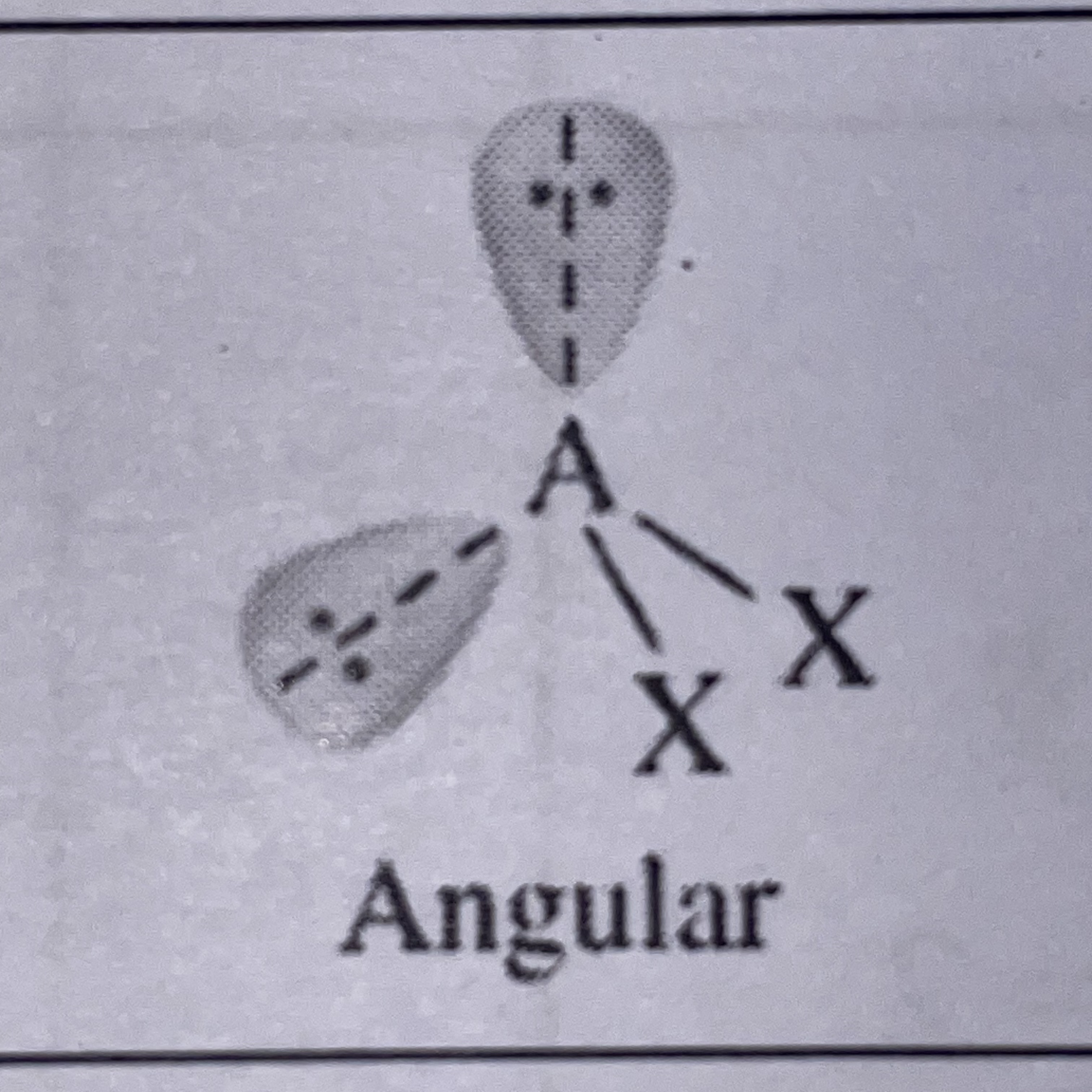 <p>Angular</p>