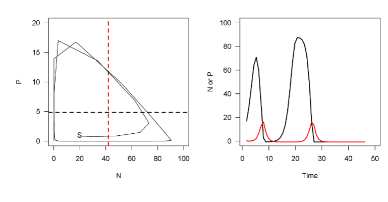 <p>Increasing oscillations leading to extinction(s)</p>