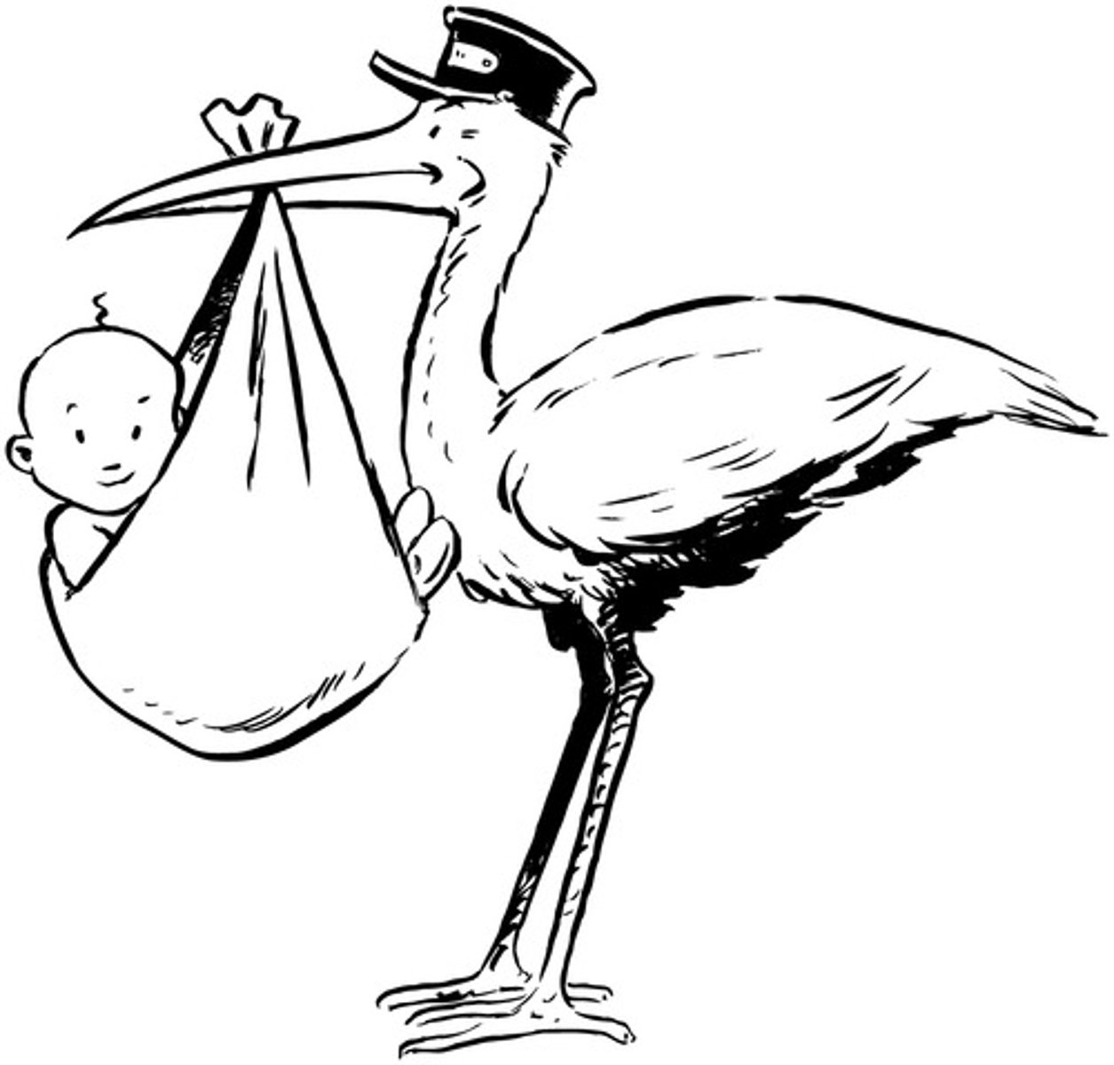 <p>birth</p>