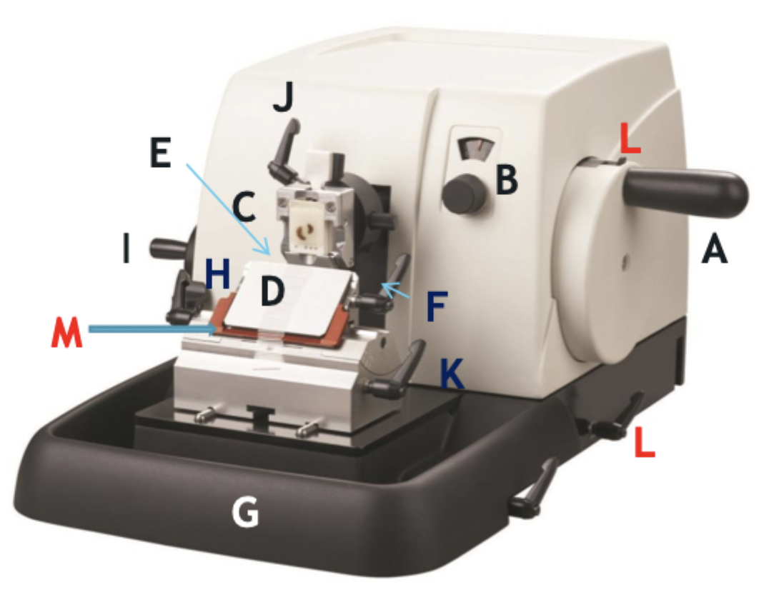 <p>G</p>