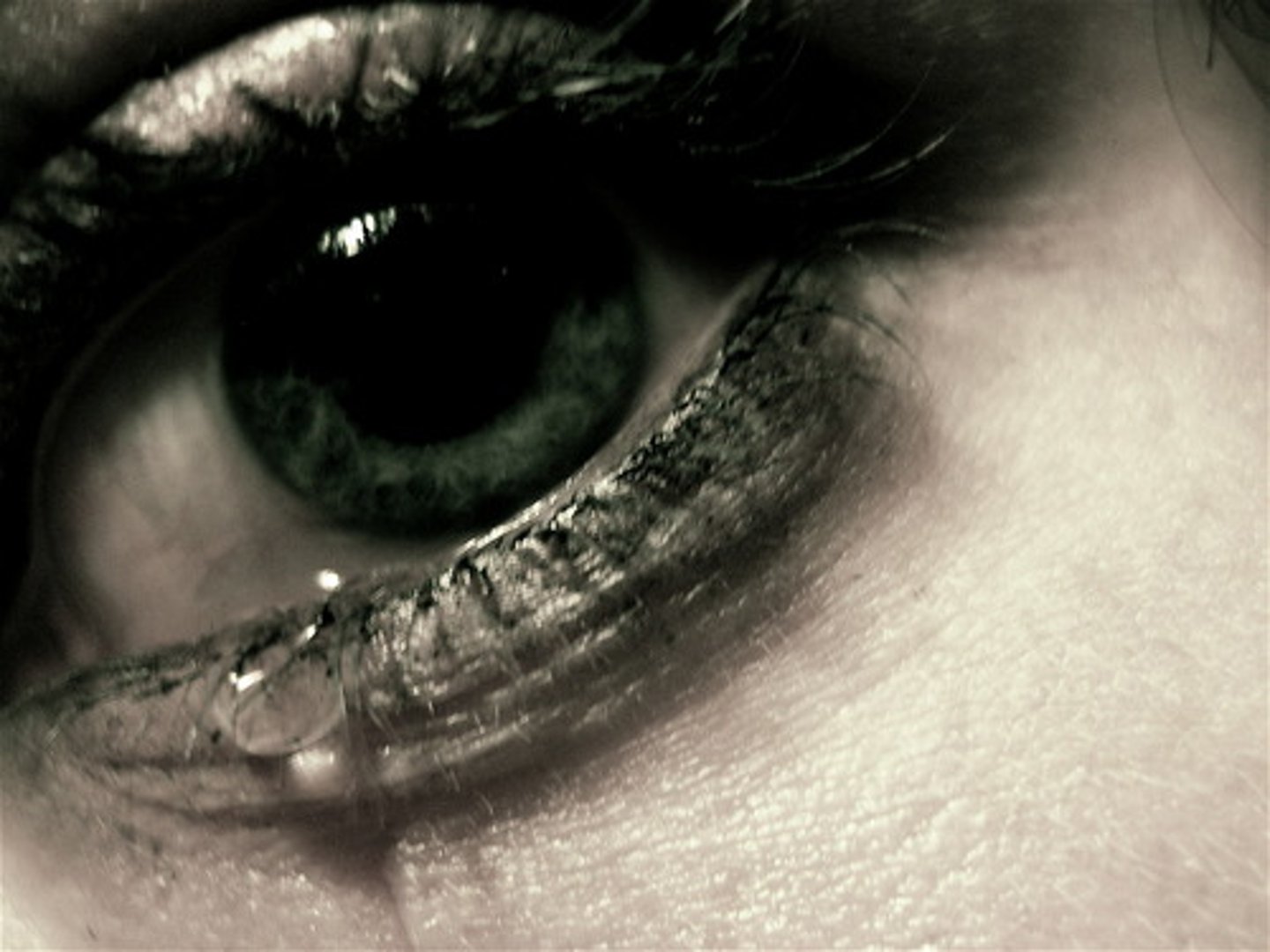 <p>Latin</p><p>Cry, tears</p><p>Lacrimal</p>