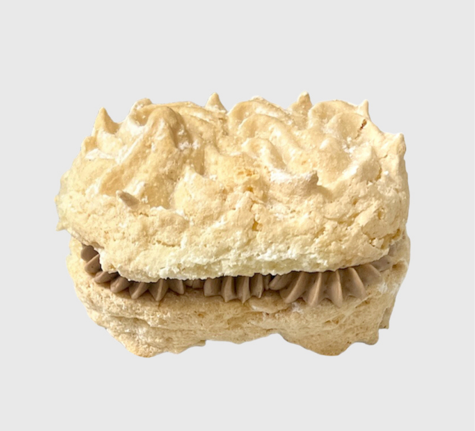 <p>Chocolate Hazelnut Dacquoise</p>