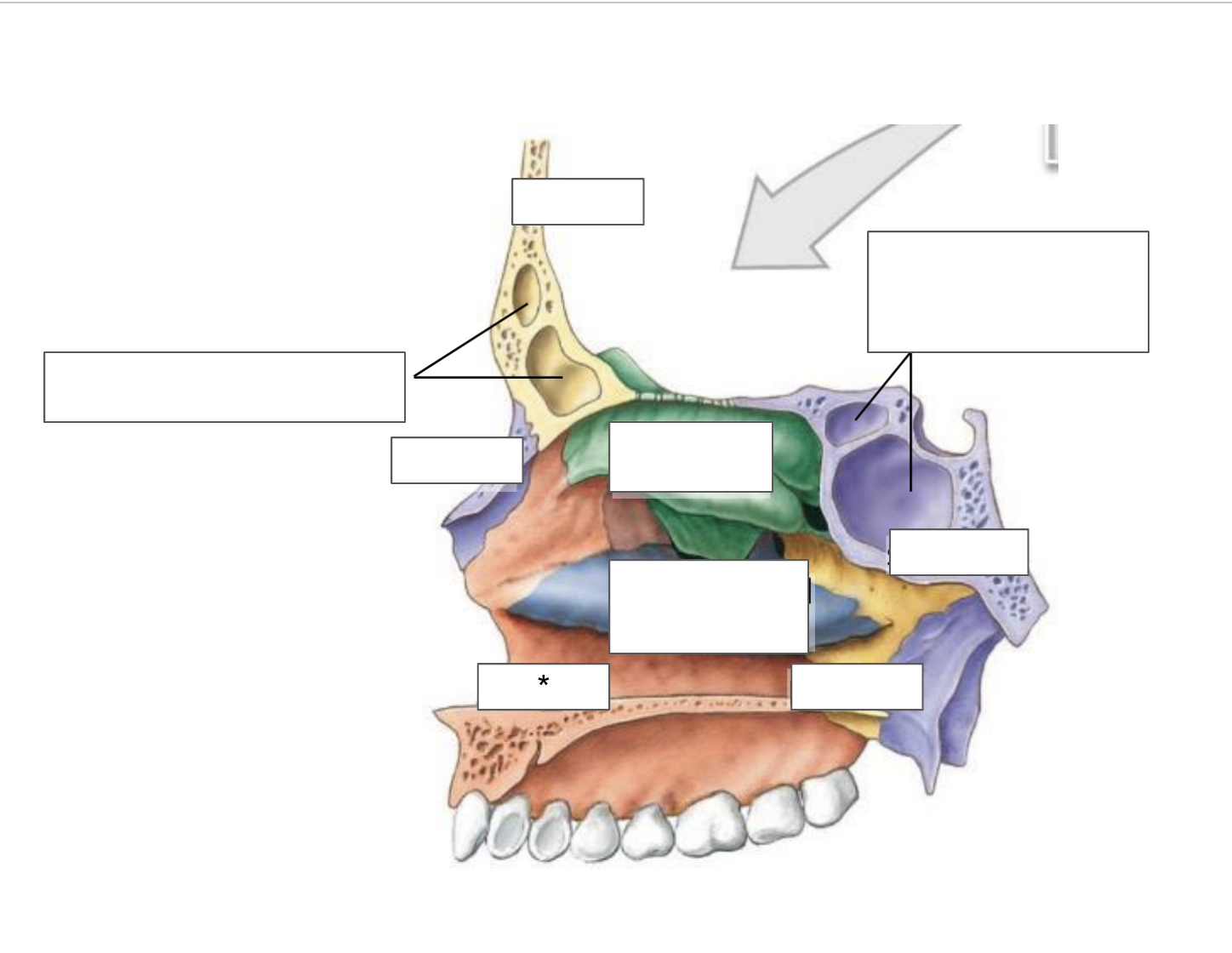 term image