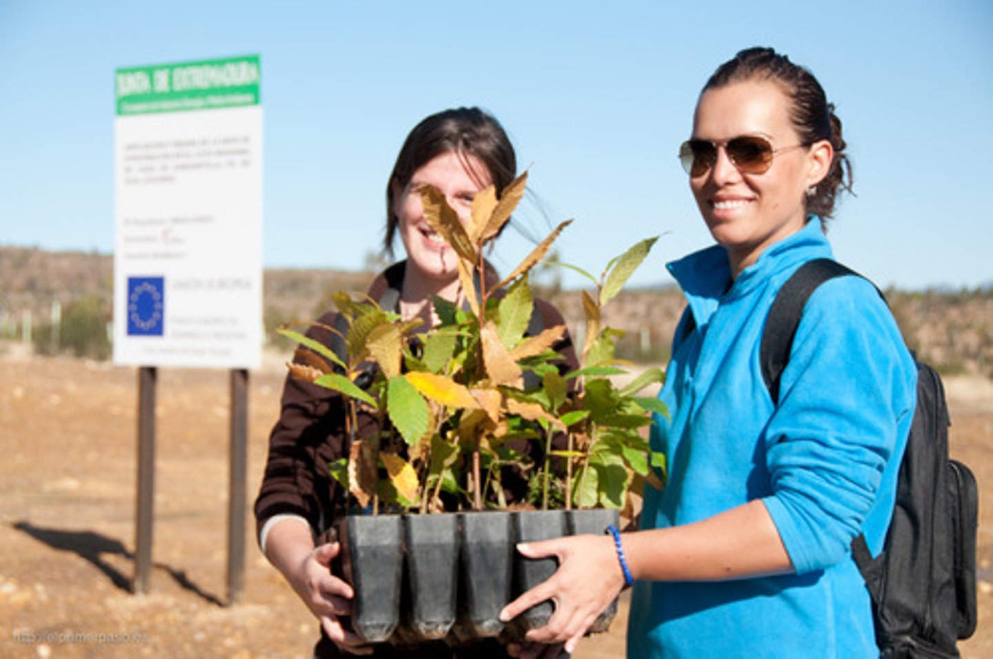 <p>to plant trees</p>