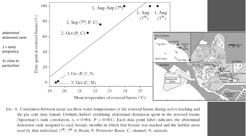 <ul><li><p>297/313 were female</p></li><li><p>95% of females were pregnant</p></li><li><p>No juveniles or newborns</p></li><li><p>Elasmobranch maternity ward</p><ul><li><p>Gestation period is sensitive to temperature increases</p></li><li><p>Allows young to develop into a larger size</p></li><li><p>Pregnant females are extremely vulnerable</p></li></ul></li></ul><p></p>
