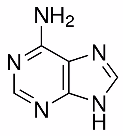 which nucleotide is this?