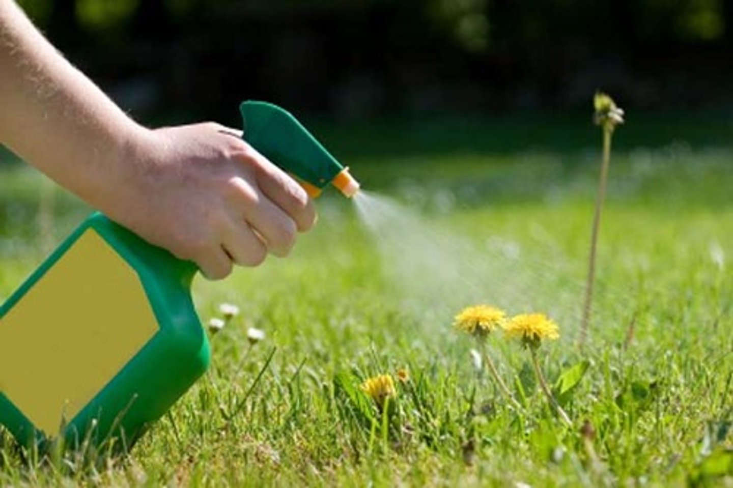 <p>Chemicals that kill plants</p>