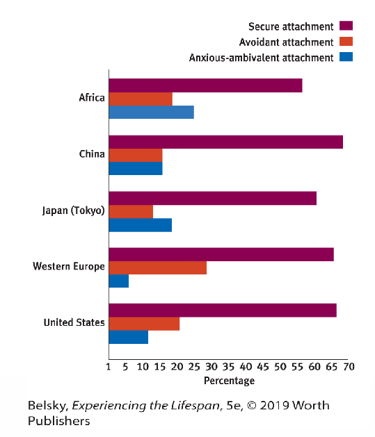 <p>YES; Attachment to primary caregiver is universal; multiple relationships possible.</p><p><span data-name="black_small_square" data-type="emoji">▪</span> Worldwide, similar percentage of babies (60-70%) are securely attached</p><p><span data-name="black_small_square" data-type="emoji">▪</span> But: Some cultural differences</p><ul><li><p>E.g., in Japan infants more likely to be distressed (uncommon for mother and child to separate)</p></li><li><p>E.g., in Germany more insecure-avoidant behavior (stronger focus on fostering independence in children</p></li></ul><p></p>