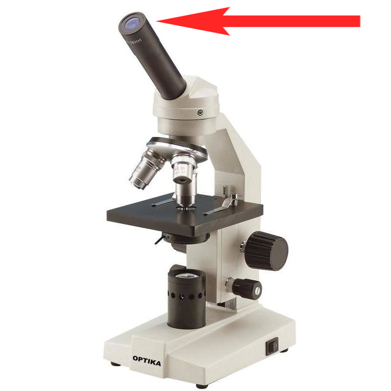 <p>Where is this in the microscope?</p>