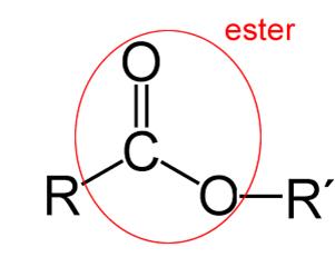 <p>are derived from the Carboxylic acids.</p><ul><li><p>In an Ester group, the Hydrogen in –COOH is replaced by a hydrocarbon side chain </p><ul><li><p>as presented by –R’ in the following image</p></li></ul></li><li><p>The ending of “noate” in in the name of compounds indicates an ester.</p></li></ul><p></p>