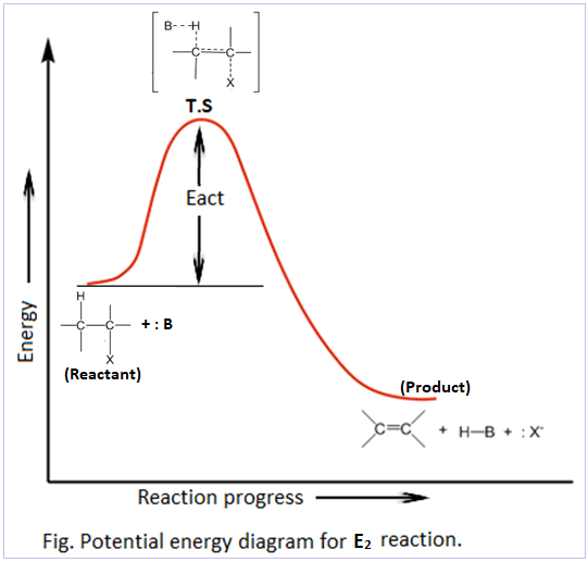 <ul><li><p>one transition state</p></li><li><p>no intermediate</p></li><li><p>product is lower in energy than reactant</p></li><li><p>no slow step, concerted</p></li></ul><p>e</p>