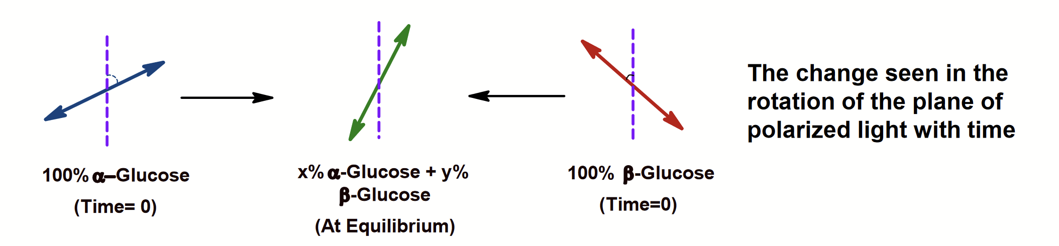 <p>Solid glucose is found either in the alpha or the beta form of the hemiacetal. When dissolved in water, it slowly converts into an equilibrium mixture of the alpha, beta, and linear forms.</p><p>With time, a solution of alpha-D-glucose and a solution of beta-D-glucose form identical equilibrium mixtures with identical optical properties (approx. composition 1/3 alpha-D glucose; 2/3 beta-D glucose and trace amounts of the linear form).</p>