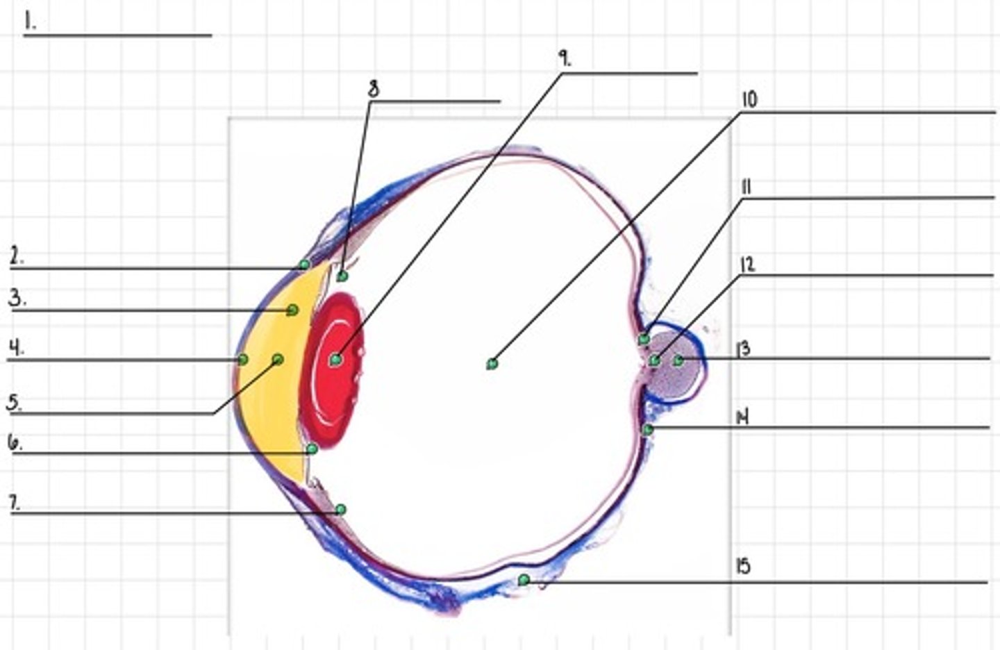 <p>5</p>