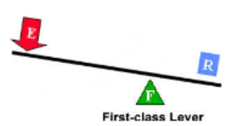 <p>Resistance/load is closer to the fulcrum vice versa effort is further from the fulcrum</p>
