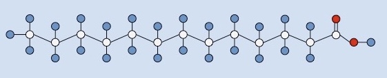 <p>What type of fatty acid is this?</p>