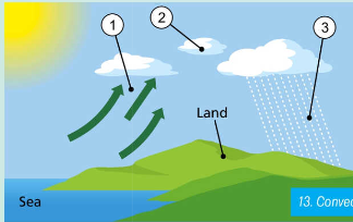 <ol><li><p>occurs during warm weather when land is heated</p></li><li><p>this creates warm air which rises which is known as a convection current</p></li><li><p>as warm air rises it cools and condenses forming large clouds</p></li></ol><p></p>