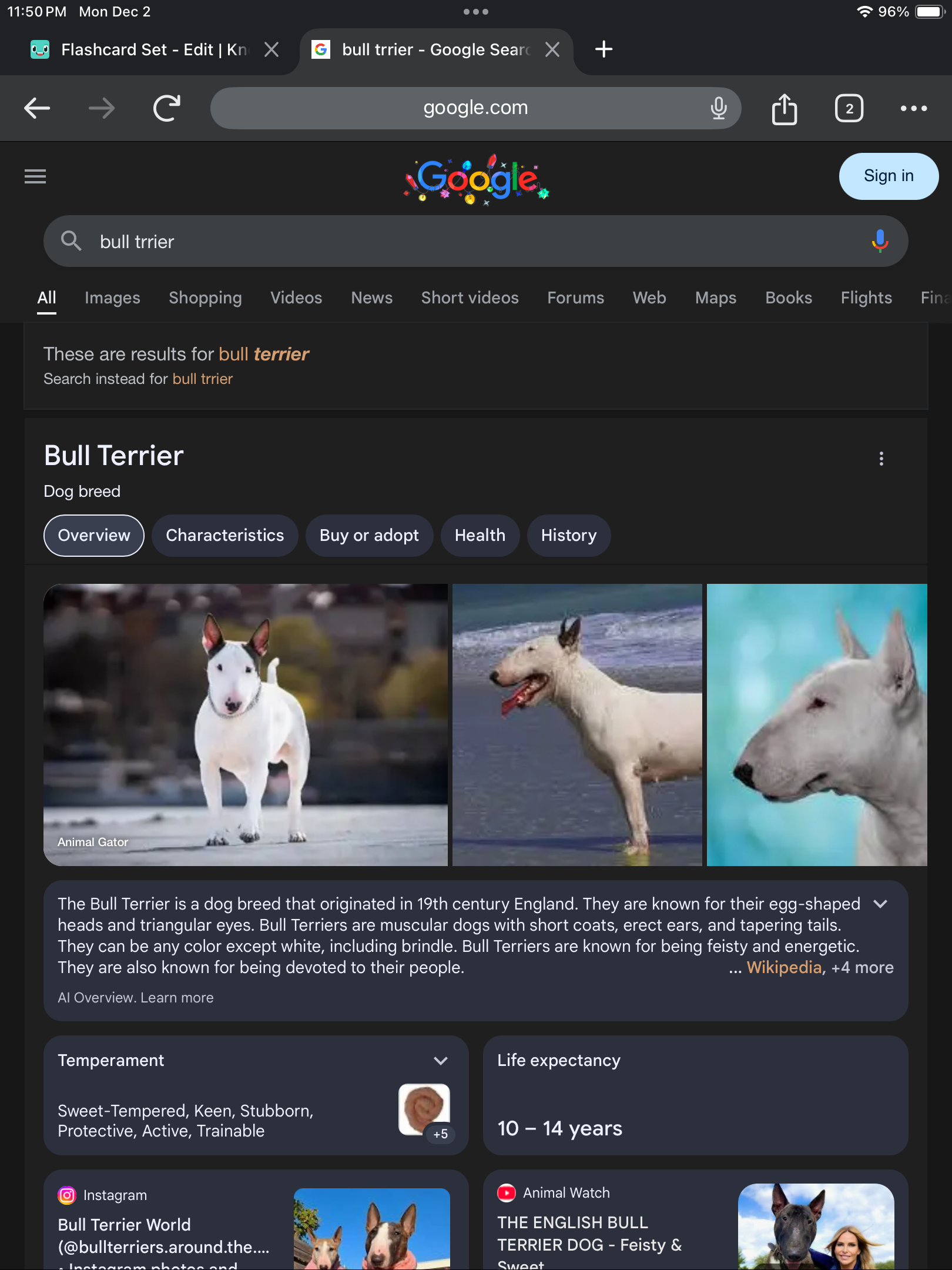<p>DOG BREEDS: what is the breed?</p>