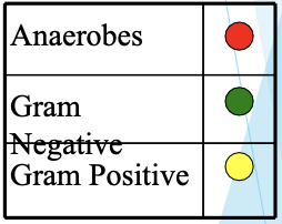 <ul><li><p>Ciprofloxacin </p></li><li><p>G- &amp; atypical coverage; ± pseudomonas coverage</p></li><li><p>Watch renal function</p></li></ul><p></p>