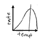 <p>Temperature affecting Rxn Rate</p>