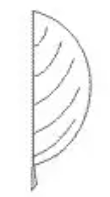<p>margin</p>