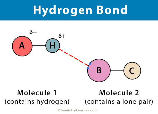 <p>When hydrogen is covalently linked to another atom and is attracted by another atom and forms a bridge between them</p>