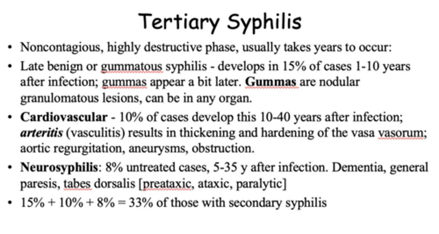 <p>cardiovascular disease</p><p>neurosyphilis</p>