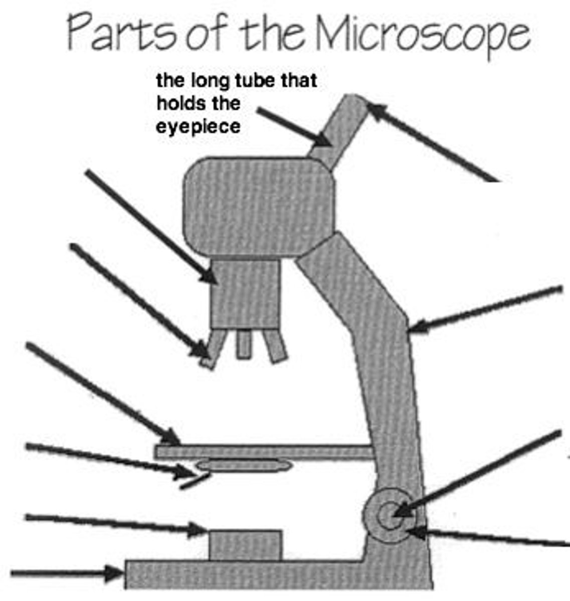 <p>connects ocular and objective lenses, aligning light to the viewer's eye.</p>