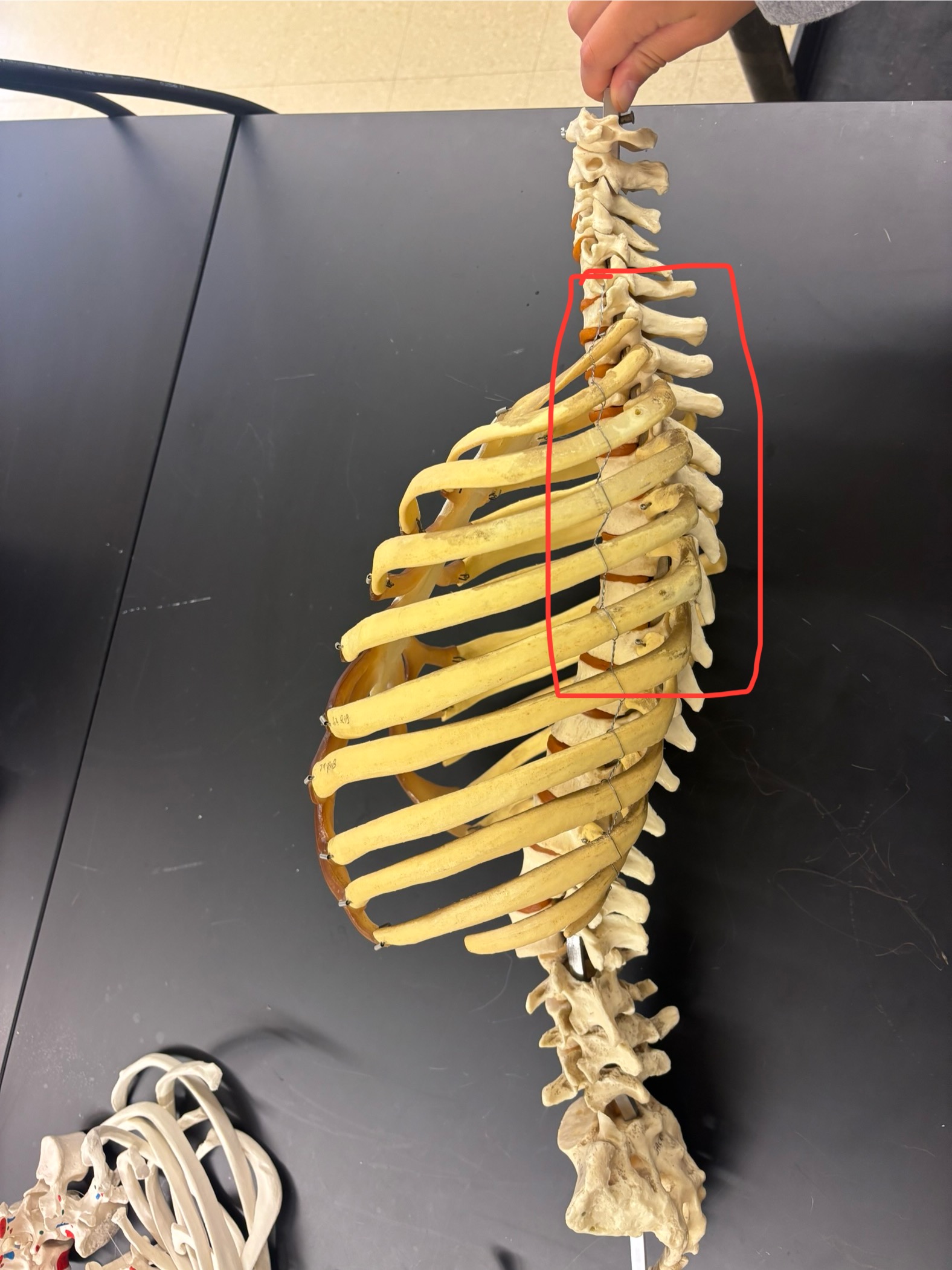 <p>What is this showing?</p>