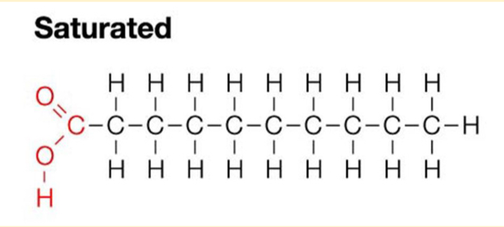 <p>The hydrocarbon chain has <span style="color: red"><mark data-color="yellow" style="background-color: yellow; color: inherit">only single bonds</mark></span></p><ul><li><p></p></li></ul>