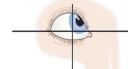<p>elevation with adduction and medial rotation</p><p>-looking up</p><p>-CN III</p>
