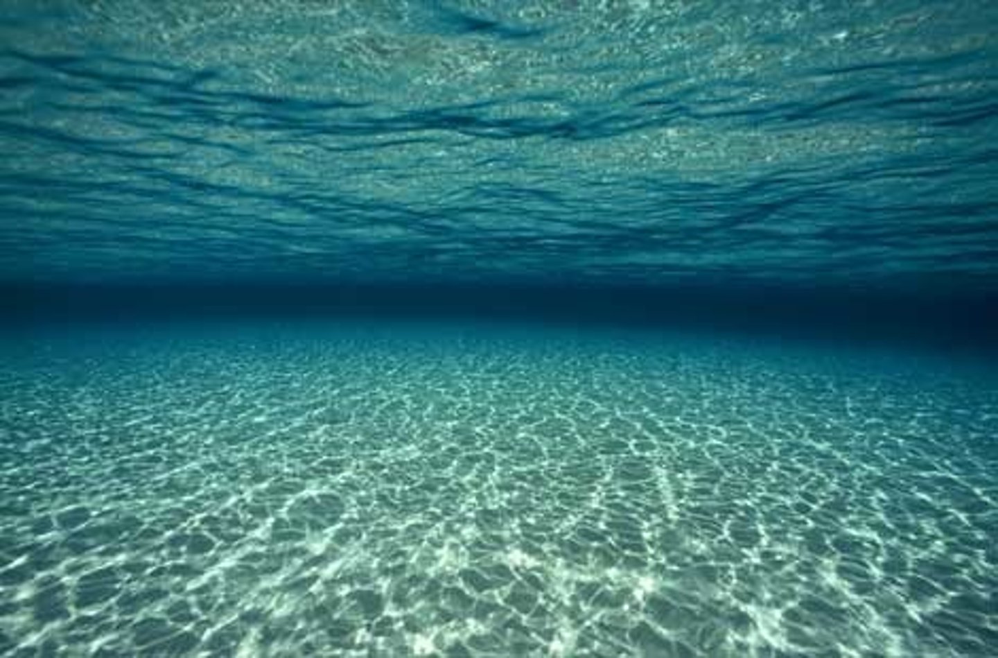 <p>The decline of a fish population by 90% or more.</p>