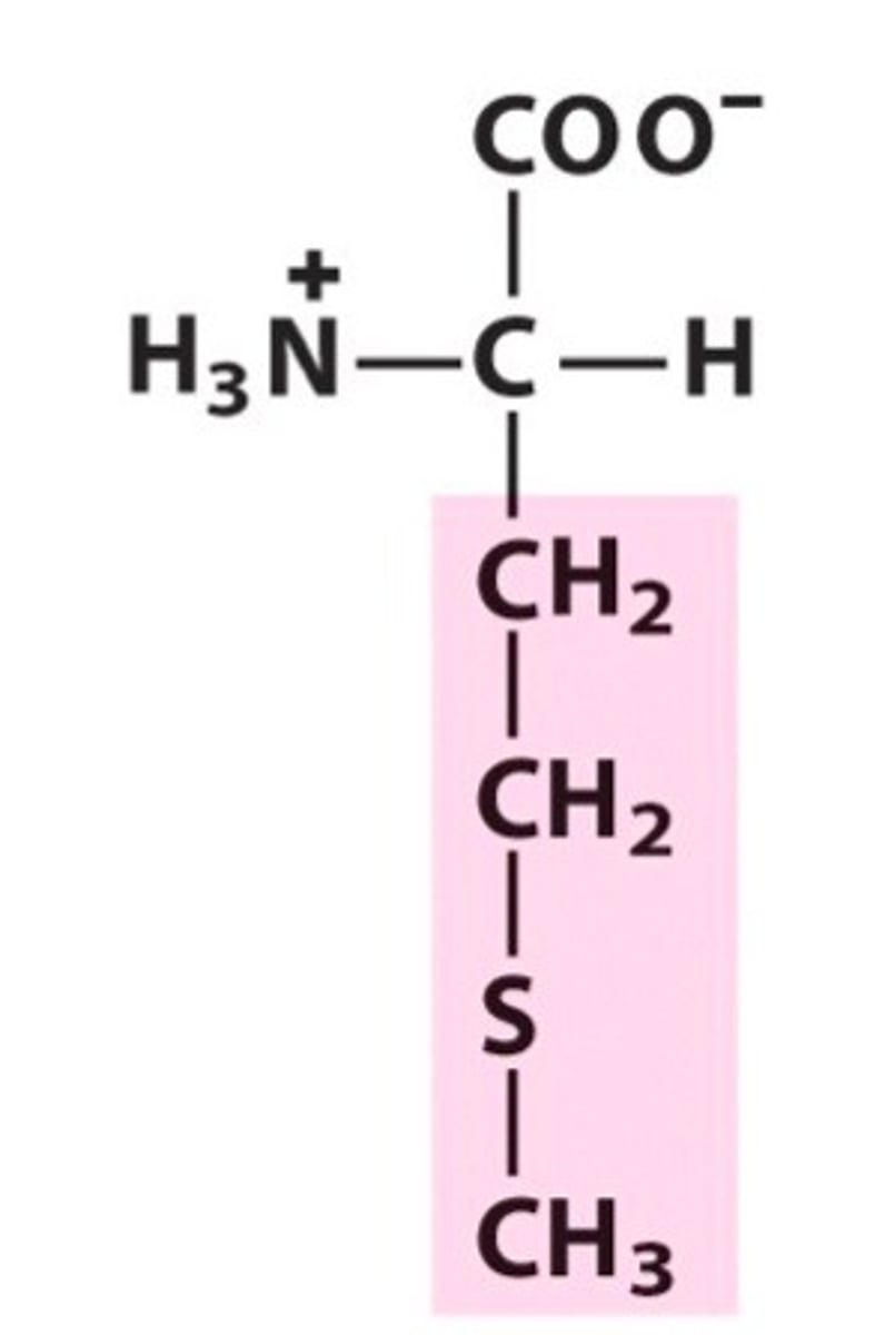 <p>Nonpolar, aliphatic R Groups</p>