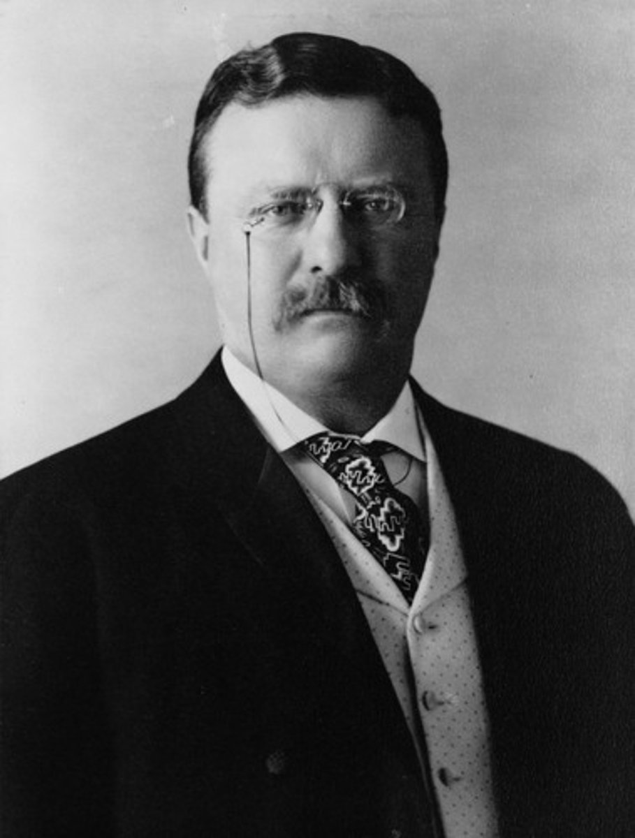 <p>Theodore Roosevelt 1901-1909 (Republican)</p>
