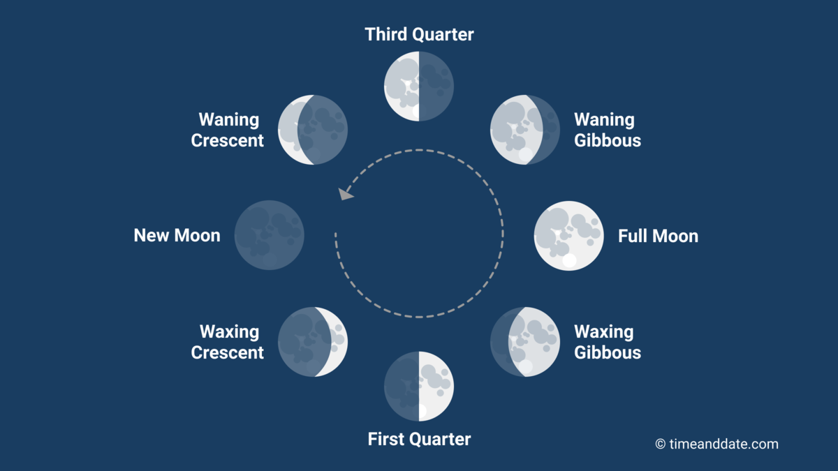 <p>new moon rises and sets with sun, crosses the meridian near noon, a few days later a sliver of its illumination becomes visible--&gt; waxing crescent</p><p>first quarter moon rises at 12 pm and crosses the meridian at sunset and crosses the meridian at sunset and sets at midnight</p>