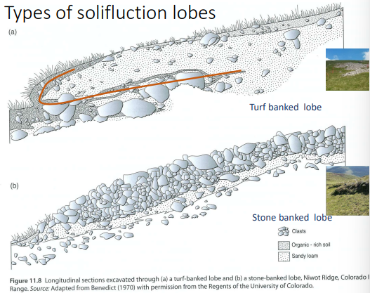<p>The slow flow of sediment down a hill, coming in two types of ground pattern:  sorted (stripes) and non-sorted (stepped Earth Hummocks)</p>