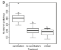 <p><span style="color: #000000">This graph shows offspring number in a spider species where males typically mate once. After mating, males are: cannibalized (left), not cannibalized (middle), and not cannibalized but females ate a cricket instead (right). Why is this sexual</span><span style="color: #000000"><br></span><span style="color: #000000">conflict (or not)?</span><span style="color: #000000"><br></span><span style="color: #000000">A. Conflict because males lose reproductive output by being cannibalized, and females gain fitness.</span><span style="color: #000000"><br></span><span style="color: #000000">B. No conflict because both males and females increase fitness with cannibalism.</span><span style="color: #000000"><br></span><span style="color: #000000">C. Conflict because males are losing future</span><span style="color: #000000"><br></span><span style="color: #000000">reproductive opportunities by investing in the current one</span><span style="color: #000000"><br></span><span style="color: #000000">D. A&amp;C</span><span style="color: #000000"><br></span><span style="color: #000000">E. None of these</span></p>