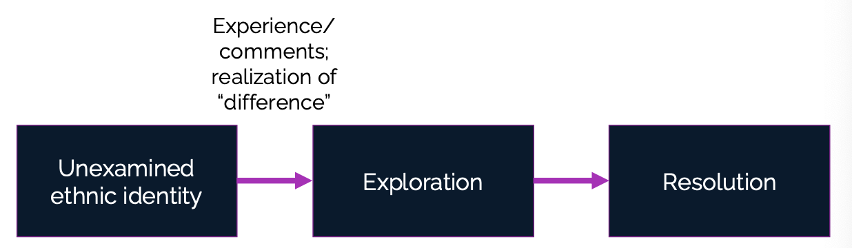 <p>Unexamined ethnic identity: Starts as what does it mean to be this race?</p><p></p><p>Exploration: Then we begin to think about learning about our heritage and talking with others of a similar heritage</p><ul><li><p>Realization of “difference”</p></li><li><p>Testing things out</p></li></ul><p></p><p>Resolution: integrated into our sense of self</p>