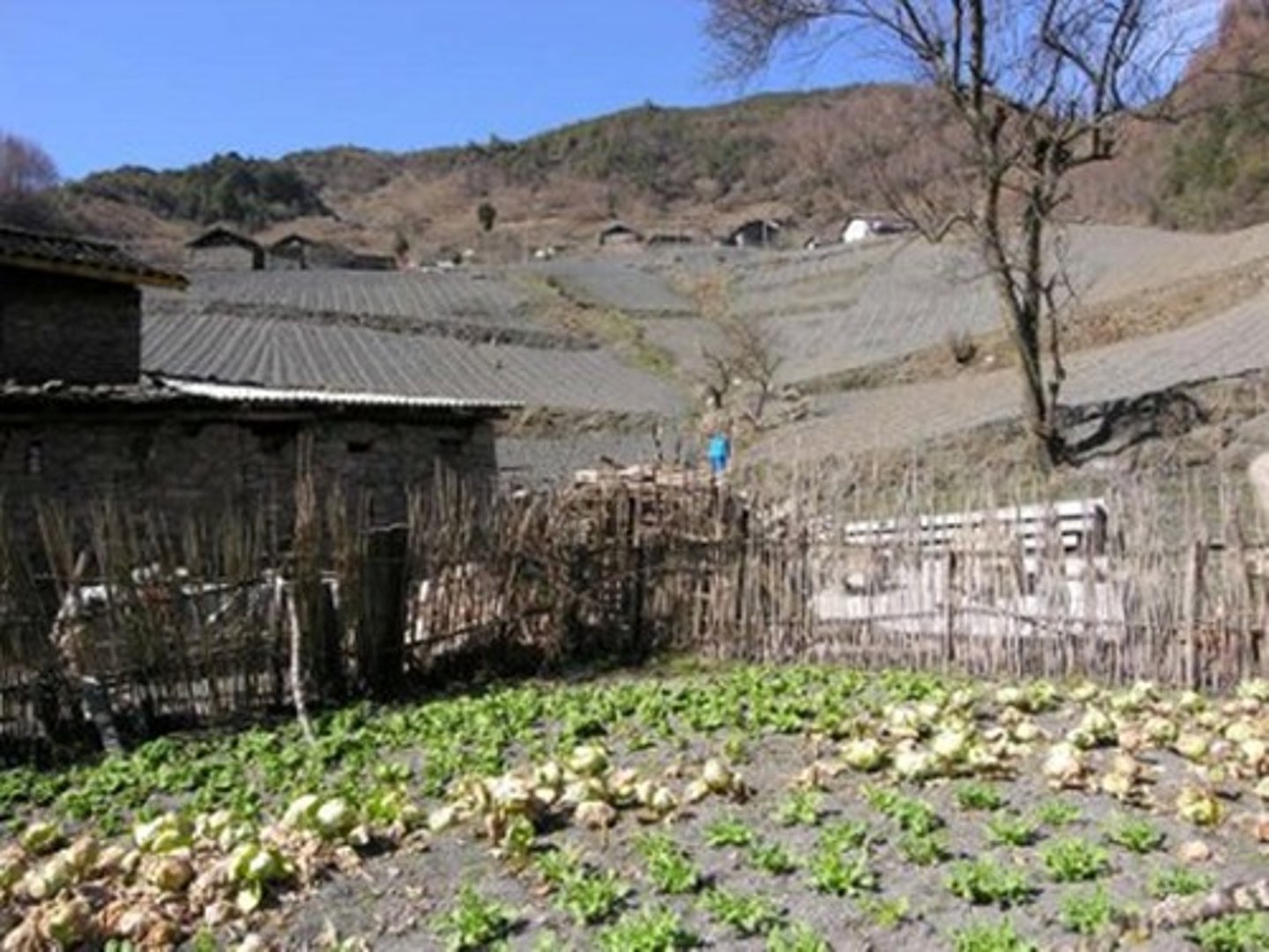 <p>low-scale, low-tech, emphasizes food production for personal consumption and not for trade</p>