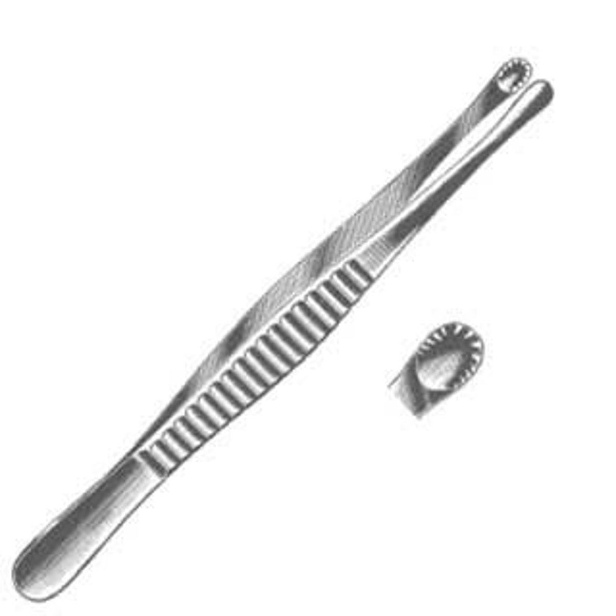 <p>used for grasping and holding, rounded tips with starbust pattern serrations.</p>