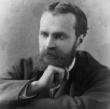 <p>Inspired by evolutionary theory, James's theoretical perspective on psychology came to be known as functionalism, which<strong> sought causal relationships between internal states and external behaviors.</strong></p>