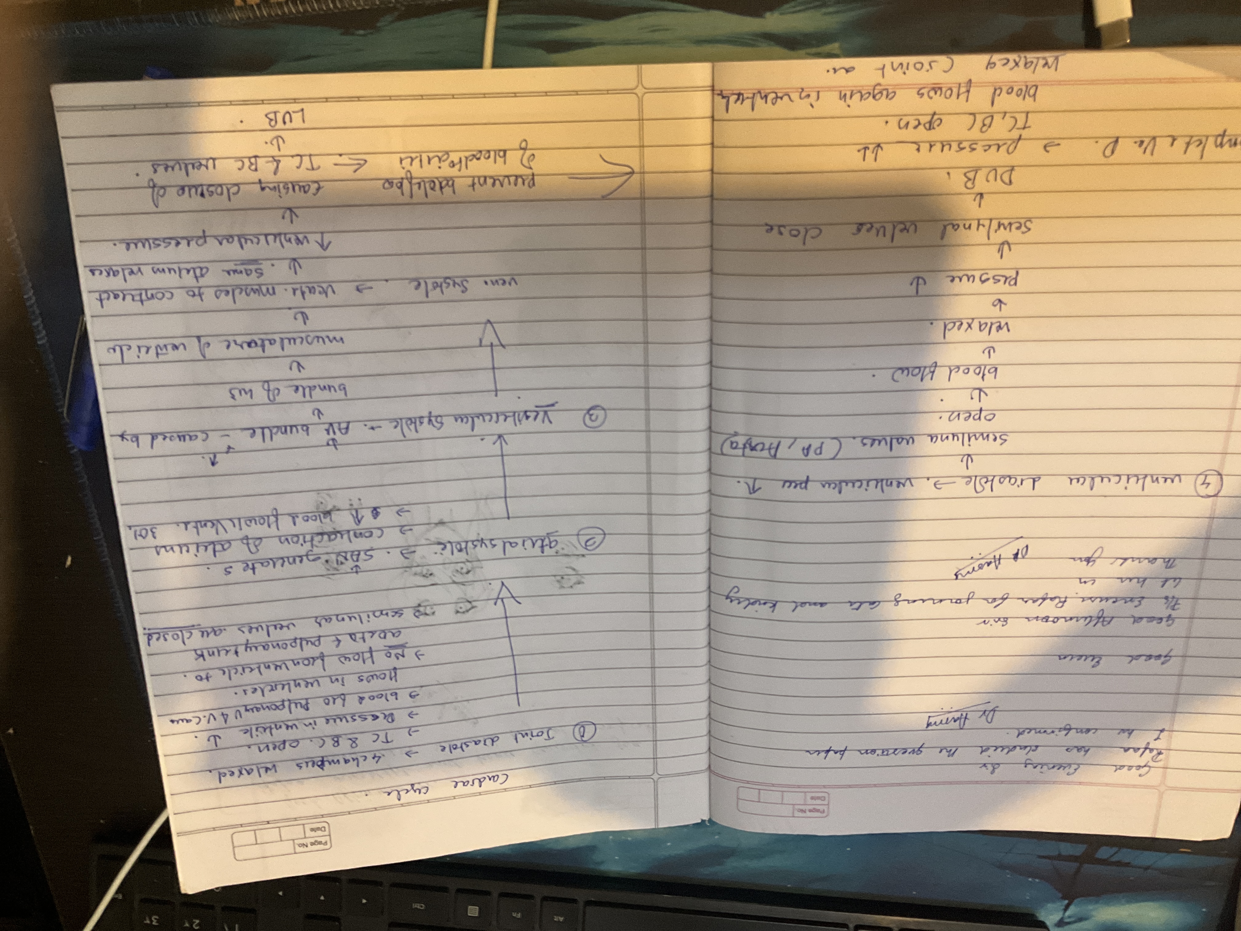 knowt flashcard image