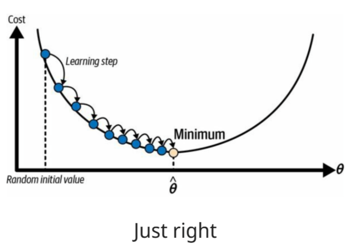 <p>A hyperparameter determining the proper 'step size'. Too small causes slow convergence, to large causes no convergence. It's a scalar that controls the magnitude of parameter updates.</p>
<p>Analogy: How big of an adjustment to make to the recipe at each step. Too little, you'll never reach the right taste; too much, you'll overshoot.</p>