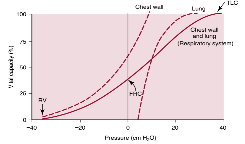 <p>Chest Wall:</p><ul><li><p>Wants to expand (aids inspiration); after a certain point, it wants to recoil inwards (aids expiration)</p></li></ul><div data-type="horizontalRule"><hr></div><p>Lung:</p><ul><li><p><span><span>always want to collapse to it’s minimal volume </span></span></p><ul><li><p>will never get there as that point is w/in residual volume</p></li></ul></li><li><p>Tendency of elastic recoil aids expiration</p></li></ul><div data-type="horizontalRule"><hr></div><p></p><p>Solid Line = C<span><span>ombined chest wall and lung pressure volume curve</span></span></p><div data-type="horizontalRule"><hr></div><p>FRC:</p><ul><li><p><span><span>volume at a Pressure of zero</span></span></p></li><li><p><span><span>balancing point between the tendency for the lung to collapse inward and the ribcage to expand outward</span></span></p></li><li><p><span><span>To go above FRC</span></span></p><ul><li><p><span><span>We need to expand chest wall and lung, so P</span><sub><span>TP</span></sub><span> becomes more positive</span></span></p></li></ul></li><li><p><span><span>To go below FRC</span></span></p><ul><li><p><span><span>P</span><sub><span>TP</span></sub><span> becomes less positive</span></span></p></li></ul></li></ul><p></p>